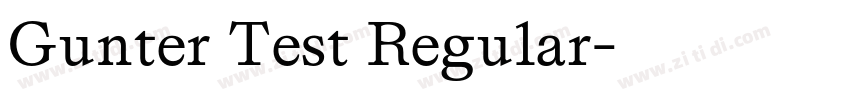 Gunter Test Regular字体转换